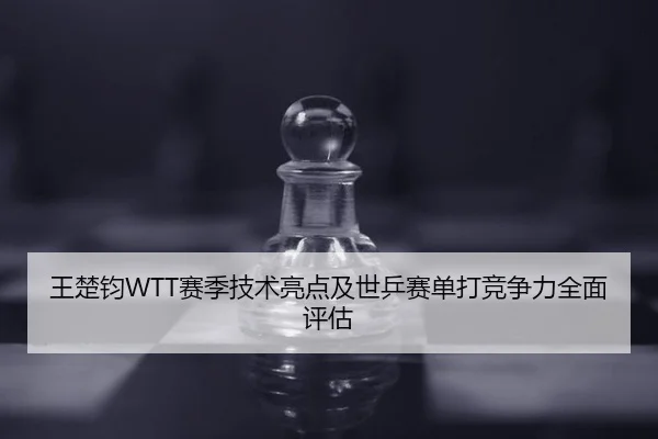 王楚钧WTT赛季技术亮点及世乒赛单打竞争力全面评估